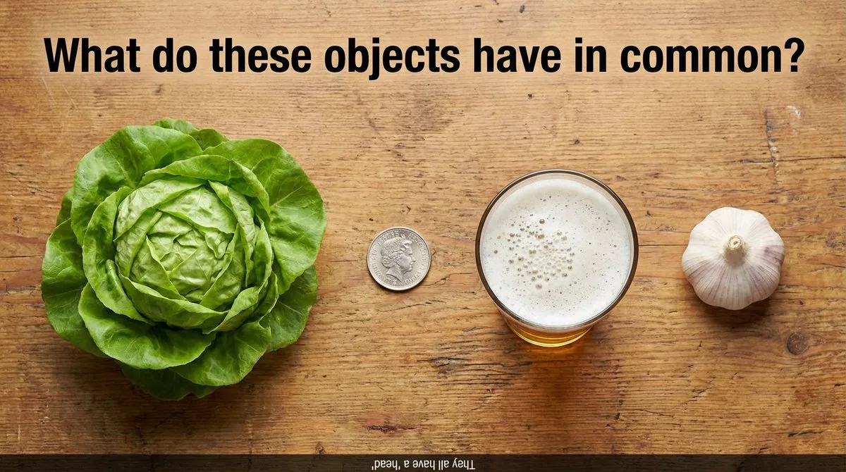 Four mysterious objects arranged on a wooden table as a visual puzzle. (2)